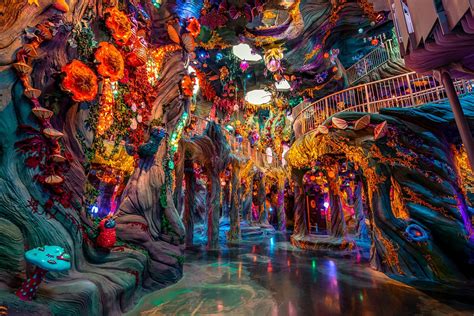 meow wolf.com|More.